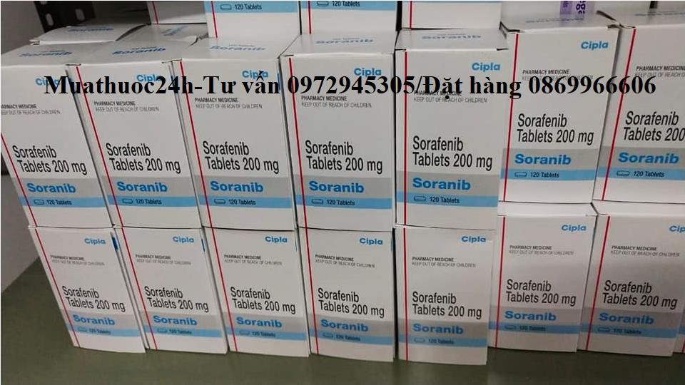 Thuốc Soranib (Sorafenib) giá bao nhiêu mua ở đâu?
