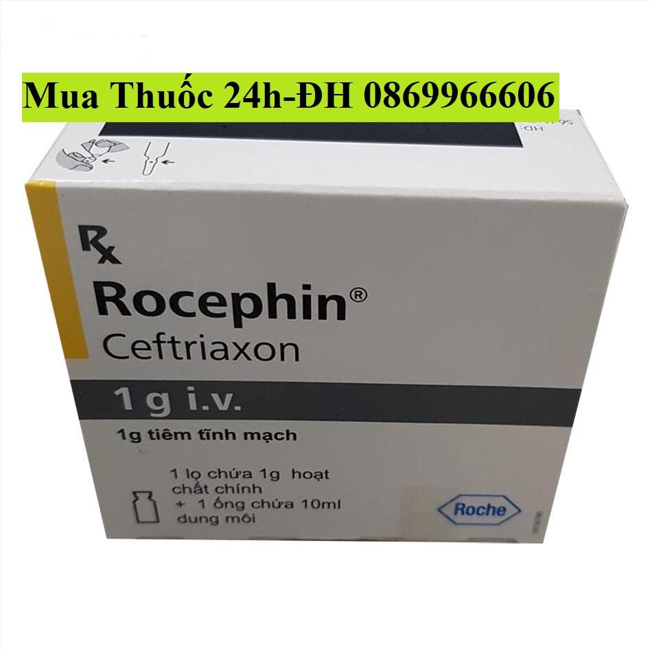 Thuốc Rocephin Ceftriaxone 1g giá bao nhiêu mua ở đâu?