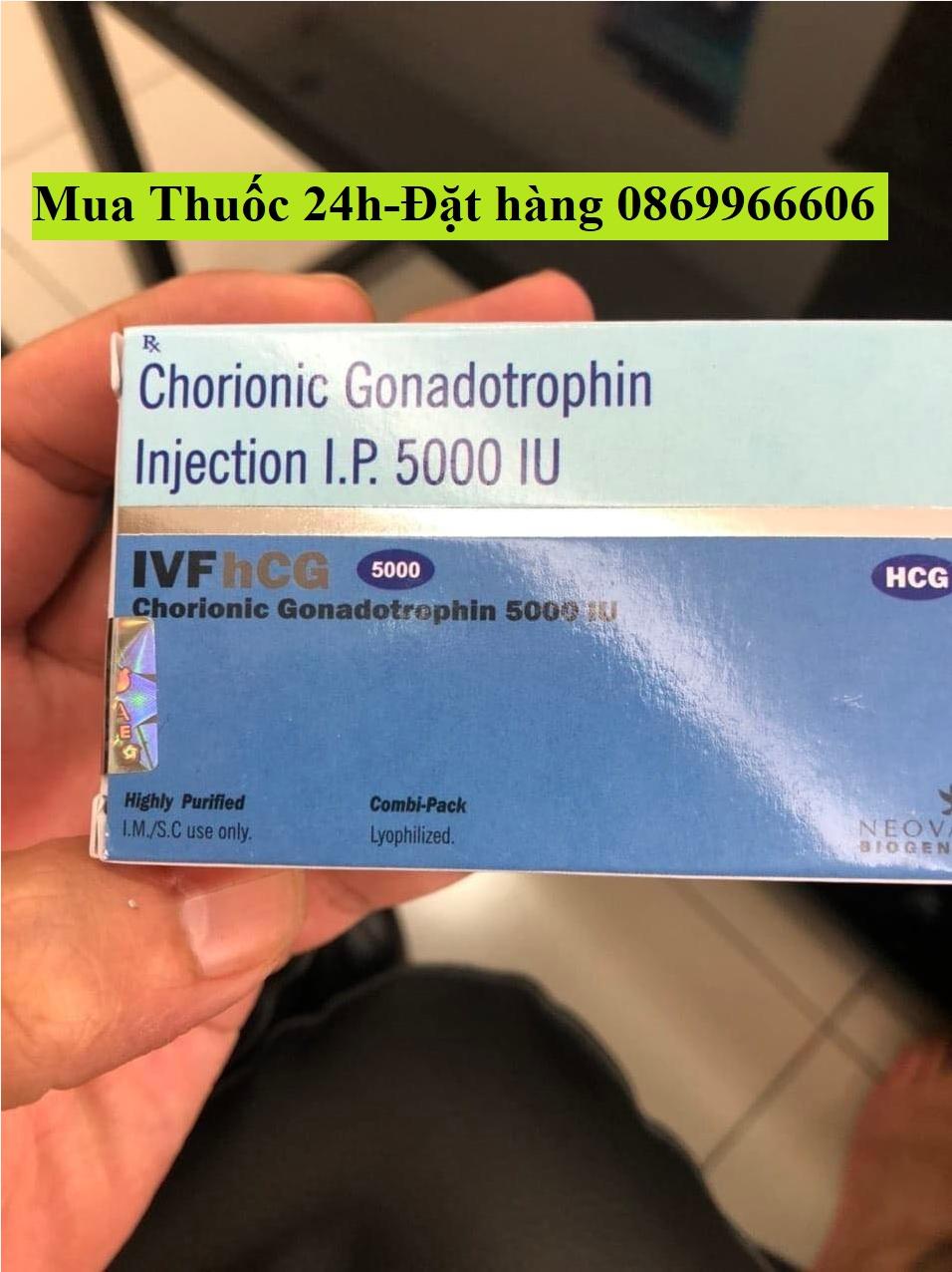 Thuốc IVF Hcg 500 Chorionic gonadotropin giá bao nhiêu mua ở đâu?