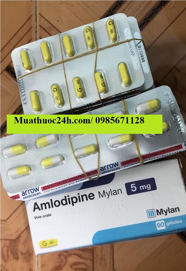 Thuốc Amlodipine 5mg Mylan giá bao nhiêu mua ở đâu?
