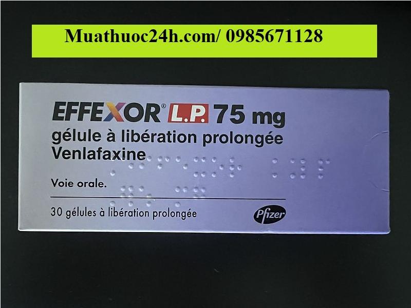 Thuốc Effexor L.P 75mg Venlafaxine giá bao nhiêu mua ở đâu?